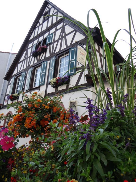 Hotel Schuetzenhof Spa Garden Bürstadt Exterior foto